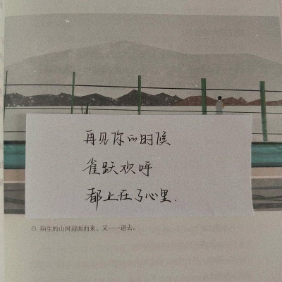 千鹤/短句手写文字/恋旧的人活像个拾荒者