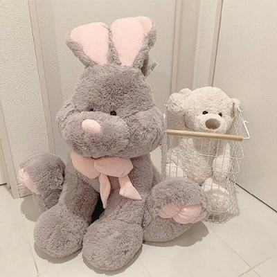 背景图 简约 清新 玩偶 可爱 ins