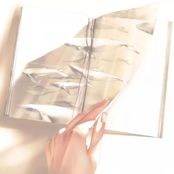 诗音/:唯美文字壁纸头像   你不勇敢，没人替你坚强