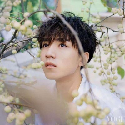 言辞：言辞的爱豆♡王俊凯！！！