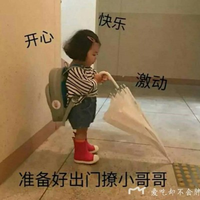 ≮辞乐≯优质表情包