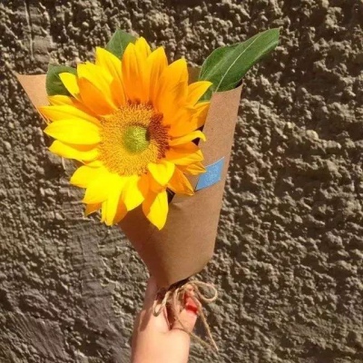 微信头像  我的爱情活不活七夕，习惯一个人