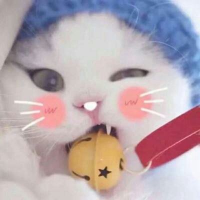 苏九九：是猫咪没错了♡喵呜~