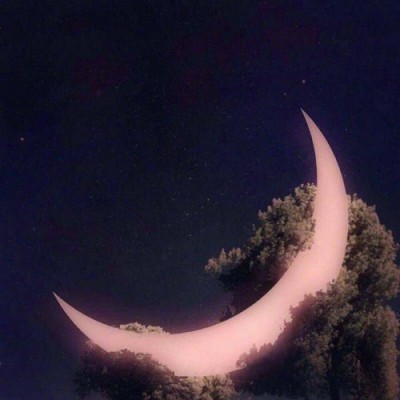 苏沐//不争不抢不拱手相让/