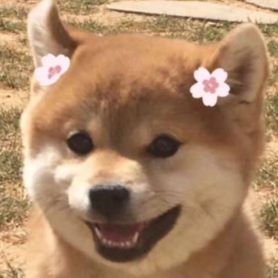 这么可爱做只单身狗不行吗?