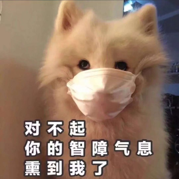 江喻绾       沙雕/文字控/表情包/盐以自律甜以待人。♡