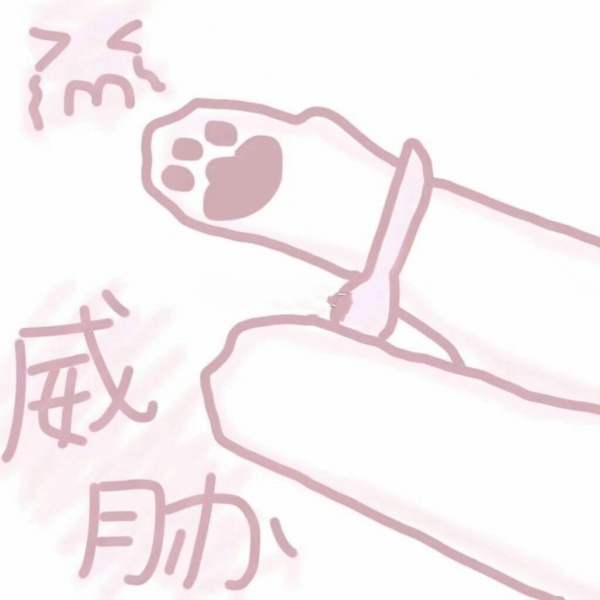 芯儿   软妹必备可爱卡通表情包