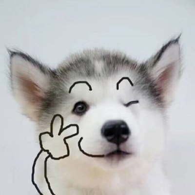 狗儿子图片不小心混了头猪