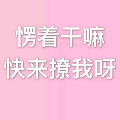 文字头像 | 听闻爱情 十有九悲