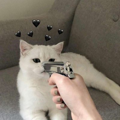 苏瓷:可爱猫咪头像（宠物 可爱 猫咪 个性 唯美）