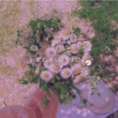 小梦／微信风景头像  花开花落  彩虹似的梦