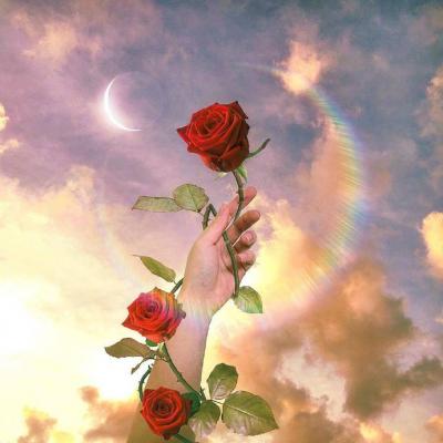 微信好运花朵头像女  好运会与你不期而遇