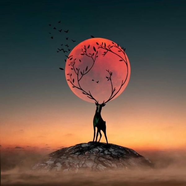 一组超美的图片 | 这意境，绝了