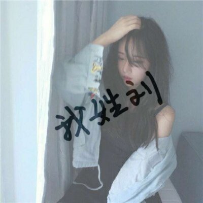 姓氏头像刘，周，张