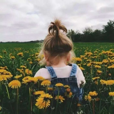 小熊藏进冬天 万物开始冬眠