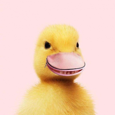 一组超级有趣的混搭设计