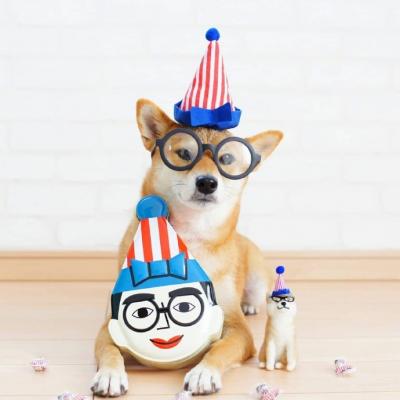 2025最新可爱呆萌的动物头像精选  萌宠头像大全