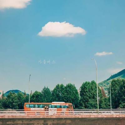 2025最新唯美微信头像      花藻与春风