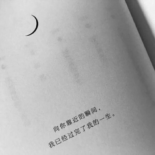 小清新文字静物背景图    向你靠近，就过完了我的一生