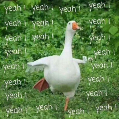 鸭鸭党来袭  yeah yeah