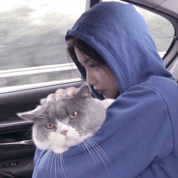 念七 女生精致优雅头像