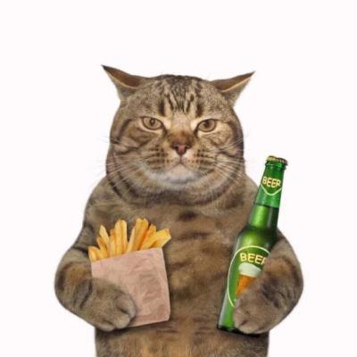 微信头像萌宠可爱图片     娇纵小可爱