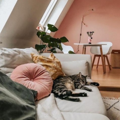 林知晚  微信朋友圈简单家具背景图