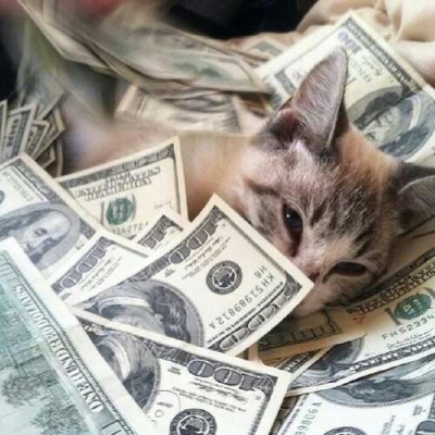 复古动物头像/财迷  月牙儿