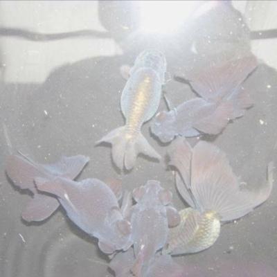 白色系朋友圈背景图 ​​​