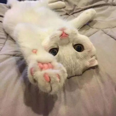 我不喜欢这世界，我只喜欢你