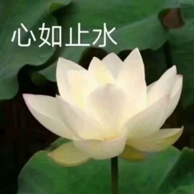 俞川/网红中老年人头像