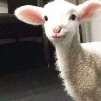 可爱精辟的搞怪头像