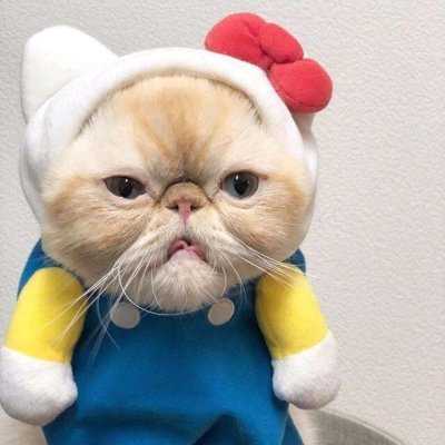 寻欢/动物可爱情头/咬你呀