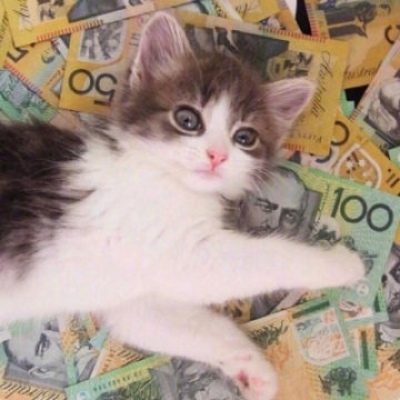 沈曦:可爱猫咪头像