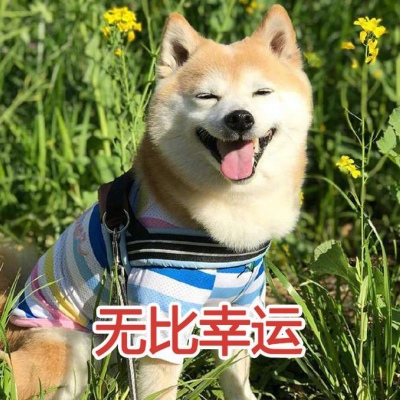 后海/头像表情包♡