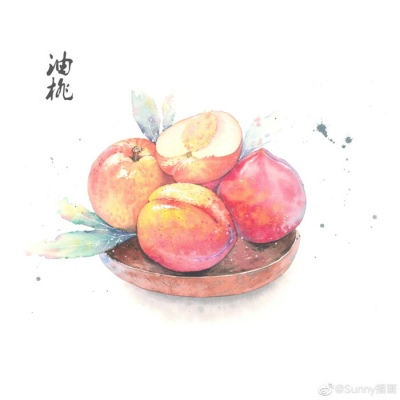 唯美手绘水果壁纸/by：Sunny插画