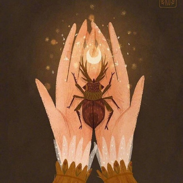 千鹤/一组艺术插画/作者AugustRo