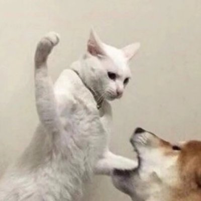 木木:一些可爱的情侣头像