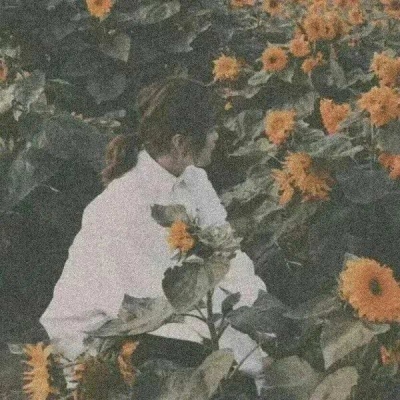 你来人间一趟，你要看看太阳.