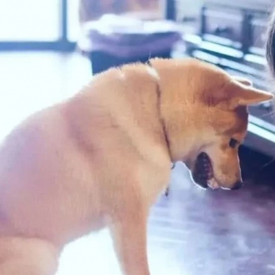 情侣头像/认错型/卑微型