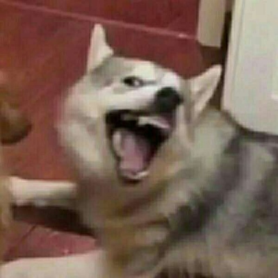 逗比情侣头像。