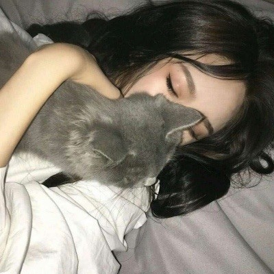 酒辞   宠物女头    望喜