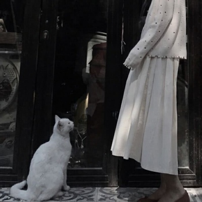 ✨享受忙碌，适应孤独