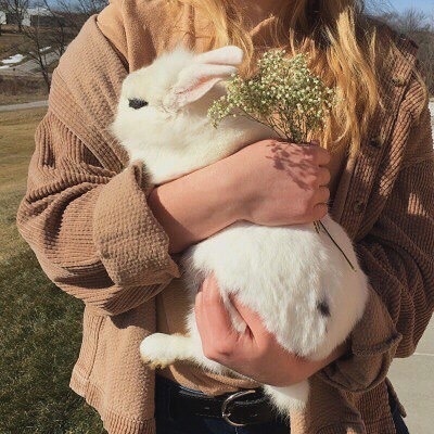 念寻：原宿风可爱宠物头像背景图  要抱抱?️