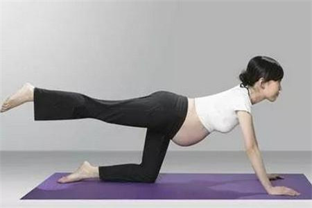 怀孕了经常感觉疲劳怎么办?孕期缓解疲劳方法