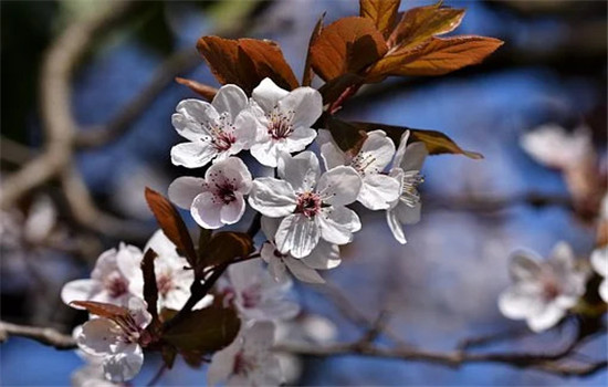 老公出轨冷战怎么办