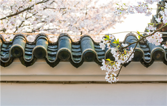 修复出轨的婚姻要多久