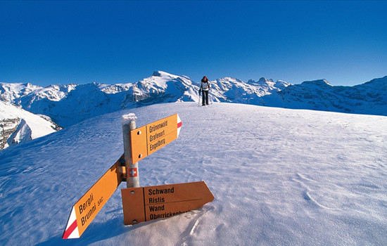 相亲怎么拒绝男方