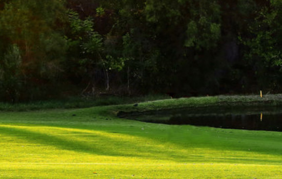 大学生谈恋爱多久适合见家长