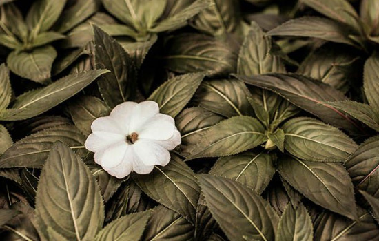 相亲女与相亲男还联系吗